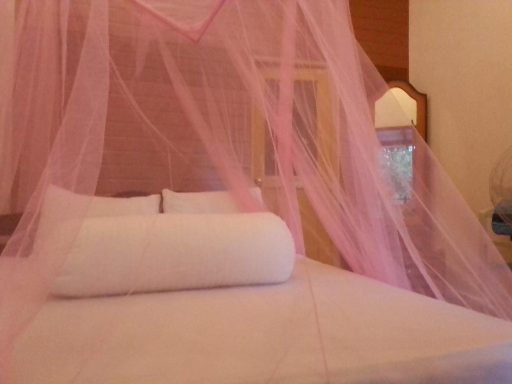 Talblick Homestay Ella Room photo